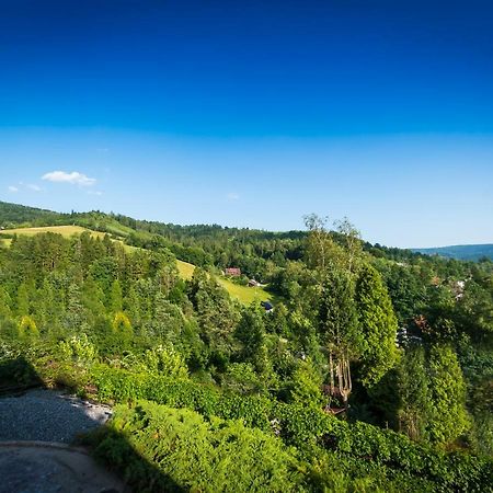 Villa Brody Wisla Bagian luar foto